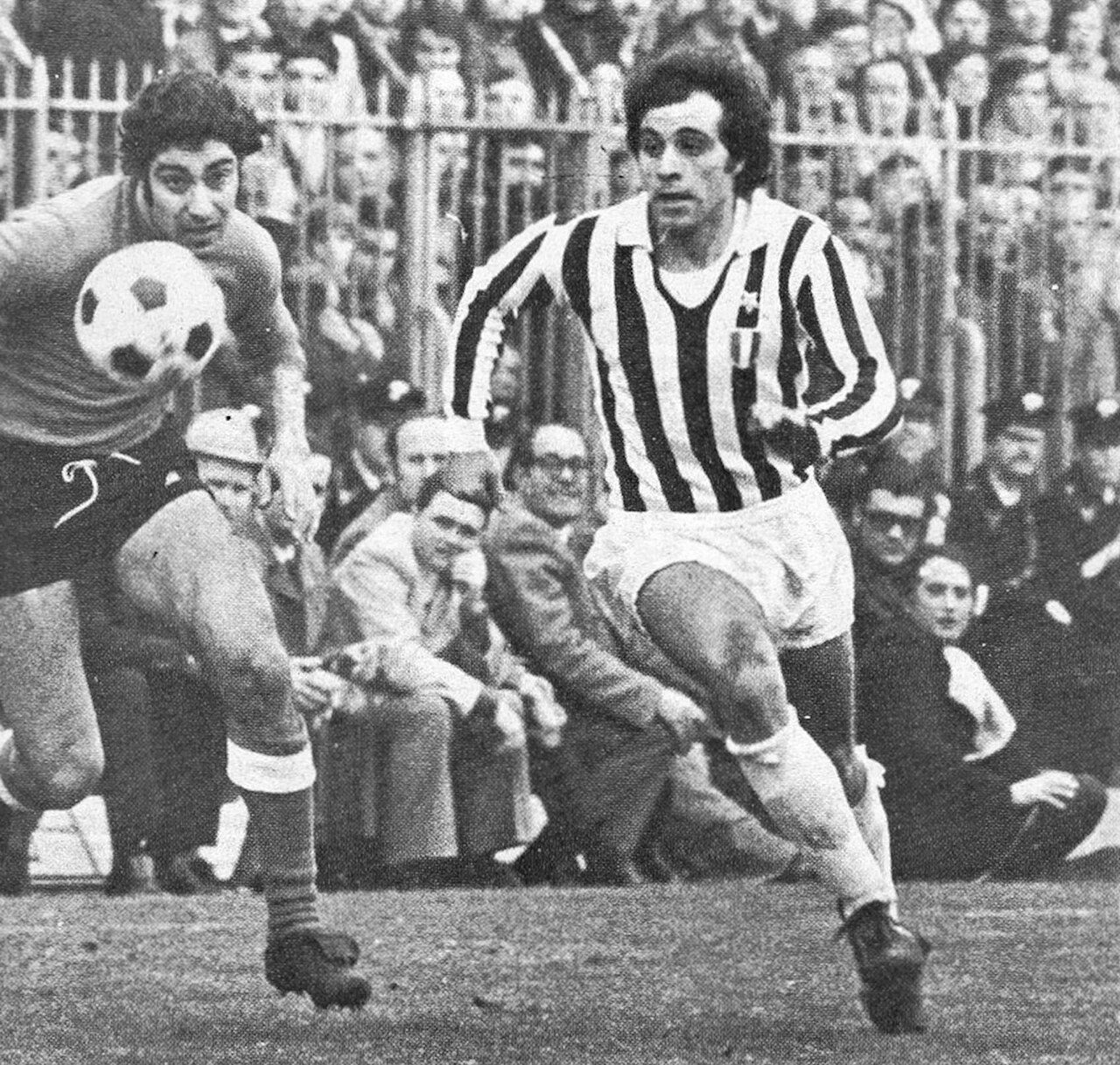 安联球场 · 球场全景